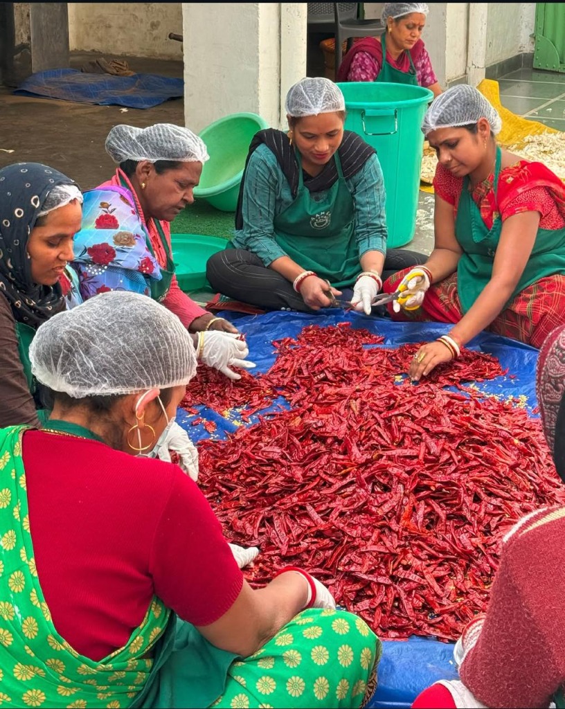 Women artisans hand-sorting chillies at Mahila Udyog Kasganj